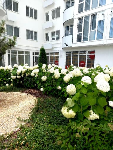 1-кімнатна квартира за адресою Дачний пров. (площа 37 м²) - Atlanta.ua - imageAlt 10