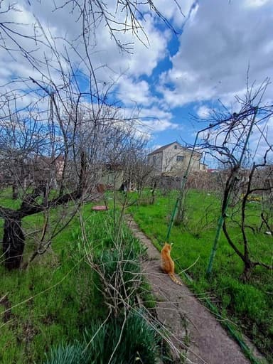 Дом по адресу ул. Центральная (площадь 20 м²) - Atlanta.ua - imageAlt 12