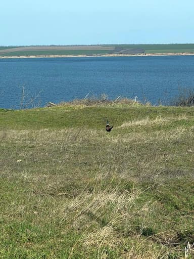 Дом по адресу ул. Балковская (площадь 50 м²) - Atlanta.ua - imageAlt 14