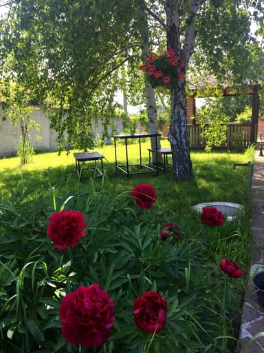 Дом по адресу ул. Центральная (площадь 254 м²) - Atlanta.ua - imageAlt 54