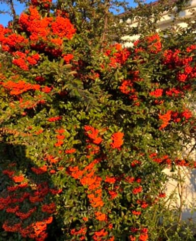 1-кімнатна квартира за адресою (площа 28 м²) - Atlanta.ua - imageAlt 13