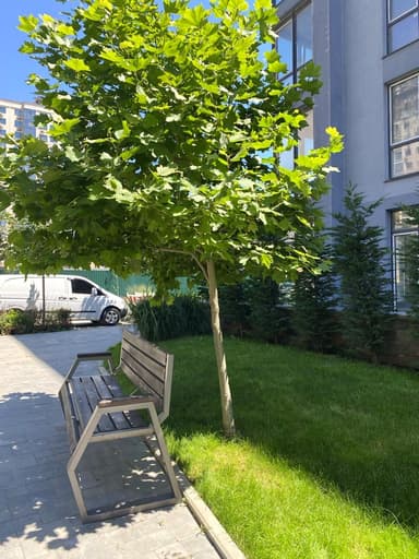 2-кімнатна квартира за адресою вул. Марсельська (площа 66 м²) - Atlanta.ua - фото 73