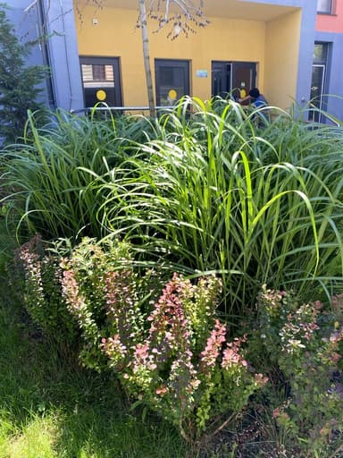 2-кімнатна квартира за адресою вул. Марсельська (площа 66 м²) - Atlanta.ua - фото 74