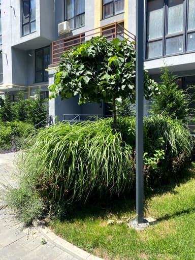 2-кімнатна квартира за адресою вул. Марсельська (площа 66 м²) - Atlanta.ua - фото 75