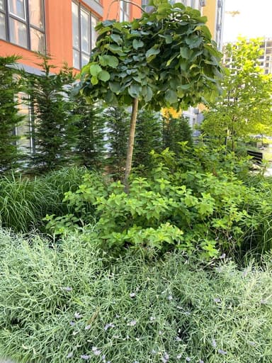 2-кімнатна квартира за адресою вул. Марсельська (площа 66 м²) - Atlanta.ua - фото 77