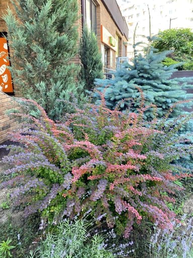 2-кімнатна квартира за адресою вул. Марсельська (площа 66 м²) - Atlanta.ua - фото 78