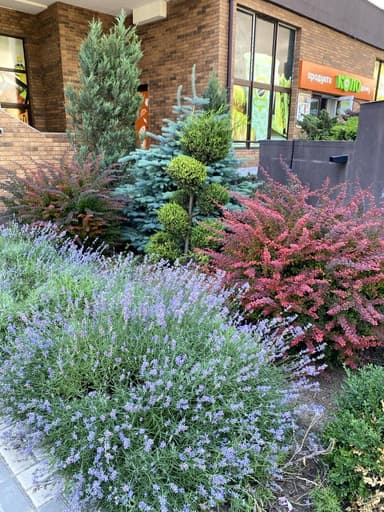 2-кімнатна квартира за адресою вул. Марсельська (площа 66 м²) - Atlanta.ua - фото 79