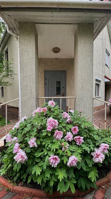 Будинок за адресою вул. Чорноморців (площа 260 м²) - Atlanta.ua - фото 18