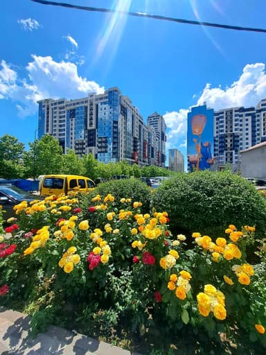 1-комнатная квартира по адресу ул. Спортивная (площадь 21,8 м²) - фото 12 1-комнатная квартира по адресу ул. Спортивная (площадь 21,8 м²) - Atlanta.ua - фото 12