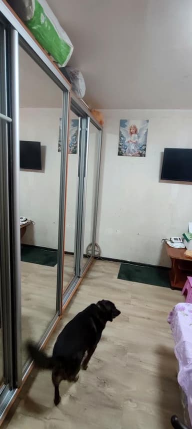 2-комнатная квартира по адресу Сеченова пер. (площадь 41 м²) - фото 20 2-комнатная квартира по адресу Сеченова пер. (площадь 41 м²) - Atlanta.ua - фото 20