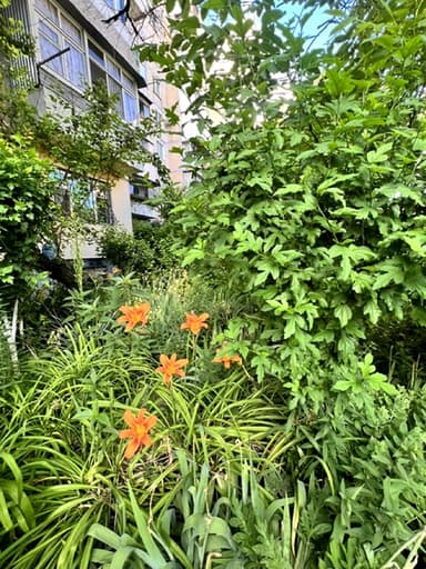 1-комнатная квартира по адресу (площадь 30,1 м²) - фото 31 1-комнатная квартира по адресу (площадь 30,1 м²) - Atlanta.ua - фото 31