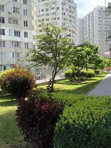 1-комнатная квартира по адресу Люстдорфская дор. (площадь 52 м²) - фото 35 1-комнатная квартира по адресу Люстдорфская дор. (площадь 52 м²) - Atlanta.ua - фото 35