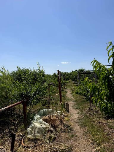 Дом по адресу ул. Чехова (площадь 85,3 м²) - imageAlt 34 Дом по адресу ул. Чехова (площадь 85,3 м²) - Atlanta.ua - imageAlt 34