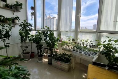 2-кімнатна квартира за адресою вул. Кленова (площа 76 м²) - Atlanta.ua - фото 21