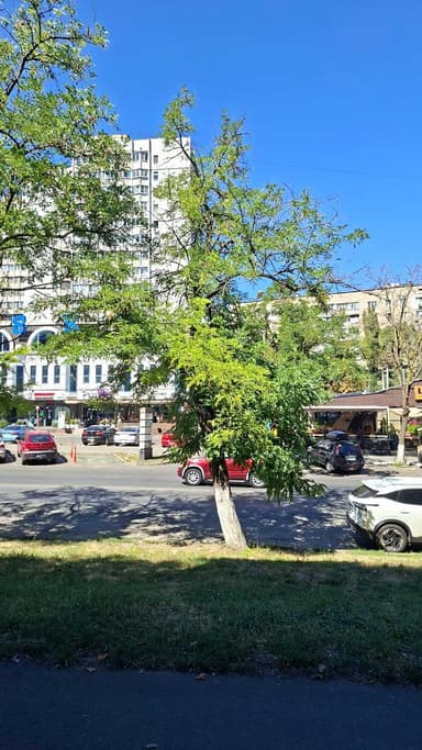 3-комнатная квартира по адресу ул. Чикаленко Евгения(Вильямса ак. ) (площадь 71 м²) - Atlanta.ua - фото 20