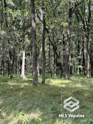 Будинок за адресою (площа 38 м²) - Atlanta.ua - фото 29