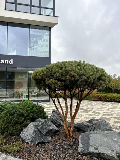 1-комнатная квартира по адресу ул. Синеозерная (площадь 29 м²) - Atlanta.ua - фото 5