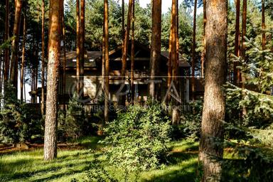 Будинок за адресою (площа 400 м²) - Atlanta.ua - фото 59