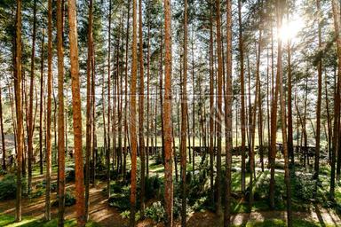 Будинок за адресою (площа 400 м²) - Atlanta.ua - фото 62