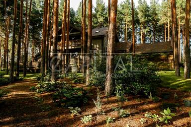 Будинок за адресою (площа 400 м²) - Atlanta.ua - фото 67