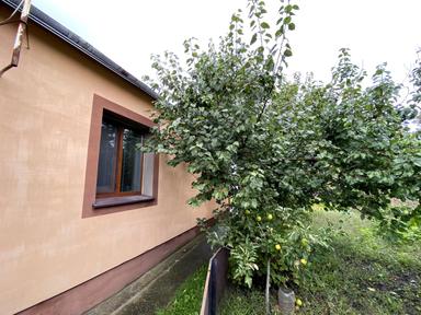 Будинок за адресою вул. Лугова (площа 45,3 м²) - Atlanta.ua - фото 44