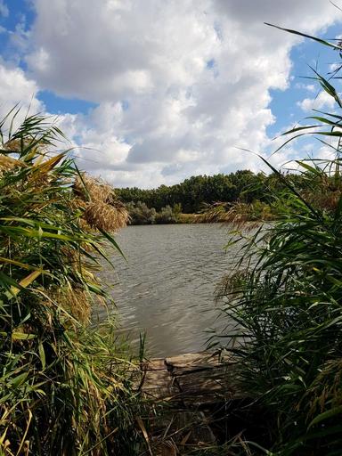 Дом по адресу (площадь 117 м²) - Atlanta.ua - фото 34