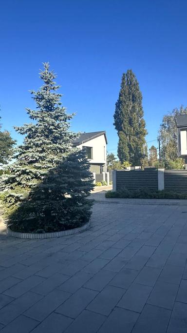 Будинок за адресою (площа 150 м²) - Atlanta.ua - фото 60