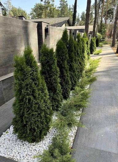 Дом по адресу ул. Гоголя (площадь 200 м²) - Atlanta.ua - фото 31