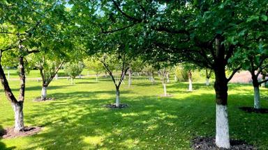 Дом по адресу (площадь 395 м²) - Atlanta.ua - фото 112