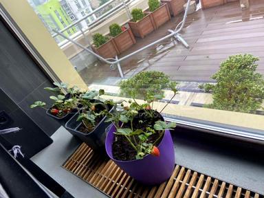 Коммерческая недвижимость по адресу ул. Златоустовская (площадь 132 м²) - Atlanta.ua - фото 18