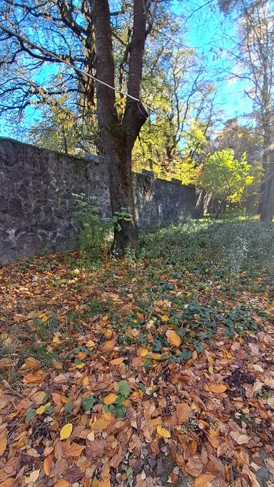 Коммерческая недвижимость по адресу ул. Соборная (площадь 316 м²) - Atlanta.ua - фото 65