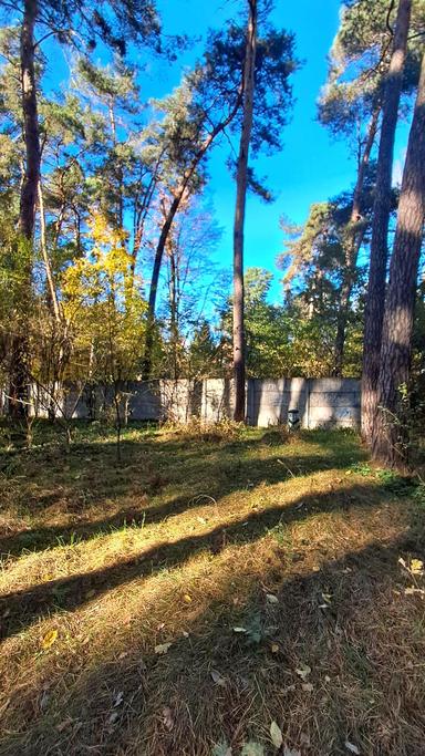 Коммерческая недвижимость по адресу ул. Соборная (площадь 316 м²) - Atlanta.ua - фото 67