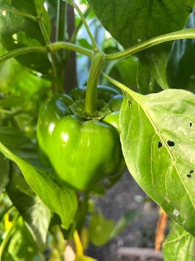 Будинок за адресою вул. Берчені Міклоша (площа 199,8 м²) - Atlanta.ua - фото 21