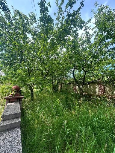 House by the address (area 700 m²) - Atlanta.ua - photo 113