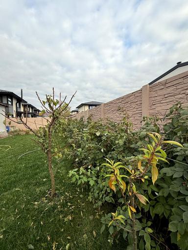 House by the address (area 220 m²) - Atlanta.ua - photo 45