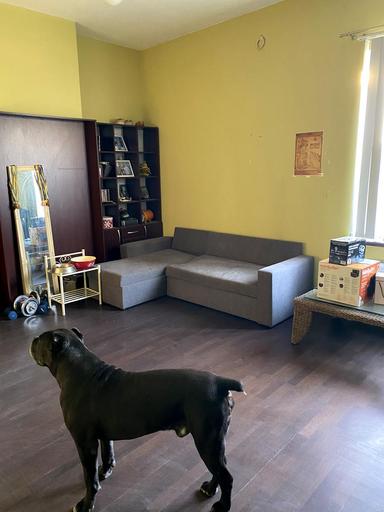 Дом по адресу ул. Рыбачья (площадь 249 м²) - Atlanta.ua - фото 40