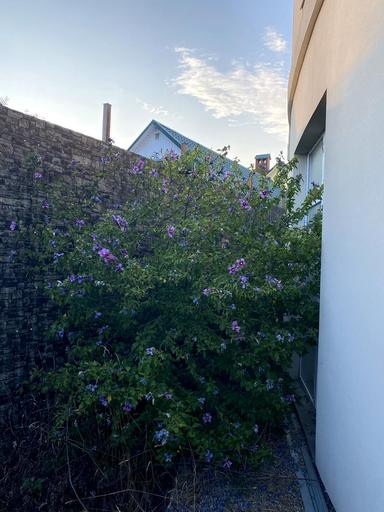 Дом по адресу ул. Рыбачья (площадь 249 м²) - Atlanta.ua - фото 60