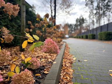 Дом по адресу ул. Гоголя (площадь 217 м²) - Atlanta.ua - фото 45