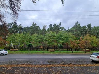 3-rooms apartment apartment by the address (area 57,6 m²) - Atlanta.ua - photo 39