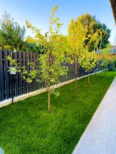 Будинок за адресою (площа 144 м²) - Atlanta.ua - фото 26