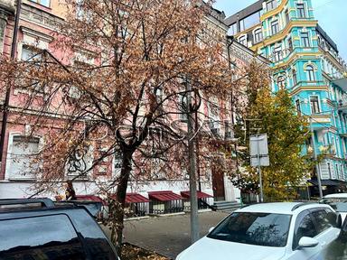 Многокомнатная квартира по адресу пер. Десятинный (площадь 275 м²) - Atlanta.ua - фото 27