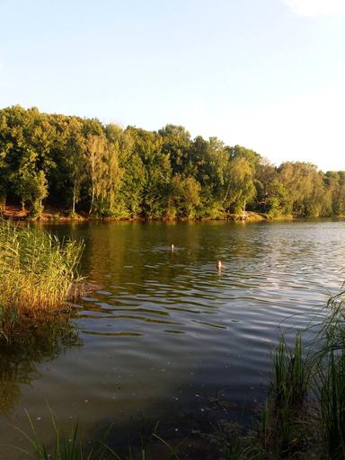 Будинок за адресою (площа 260 м²) - Atlanta.ua - фото 60
