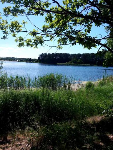 Будинок за адресою (площа 260 м²) - Atlanta.ua - фото 61