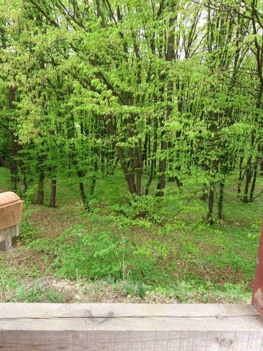 Будинок за адресою (площа 260 м²) - Atlanta.ua - фото 62