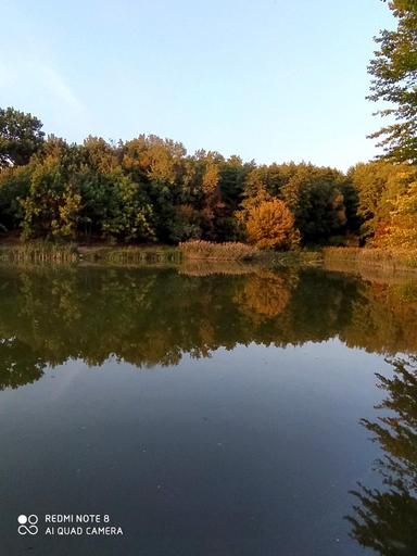 Будинок за адресою (площа 260 м²) - Atlanta.ua - фото 78