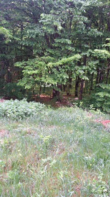 Будинок за адресою (площа 260 м²) - Atlanta.ua - фото 82