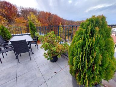 3-комнатная квартира по адресу Лодия П. Ул.   (площадь 112 м²) - Atlanta.ua - фото 26