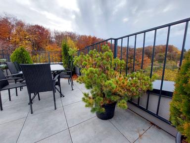 3-комнатная квартира по адресу Лодия П. Ул.   (площадь 112 м²) - Atlanta.ua - фото 47