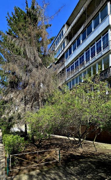 3-кімнатна квартира за адресою вул. Шовковична (площа 100 м²) - Atlanta.ua - фото 22