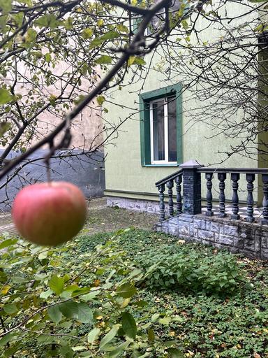 Будинок за адресою вул. Антоновича (площа 275 м²) - Atlanta.ua - фото 49